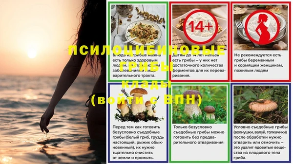 apvp Горняк