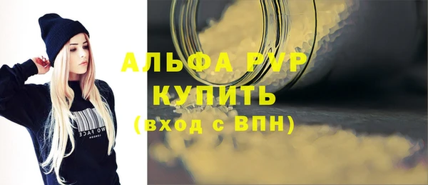 apvp Горняк