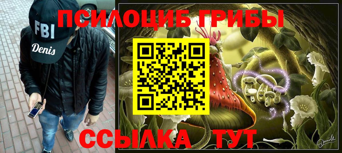 Нерюнгри  Псилоцибиновые грибы Magic Shrooms  Вход с VPN 