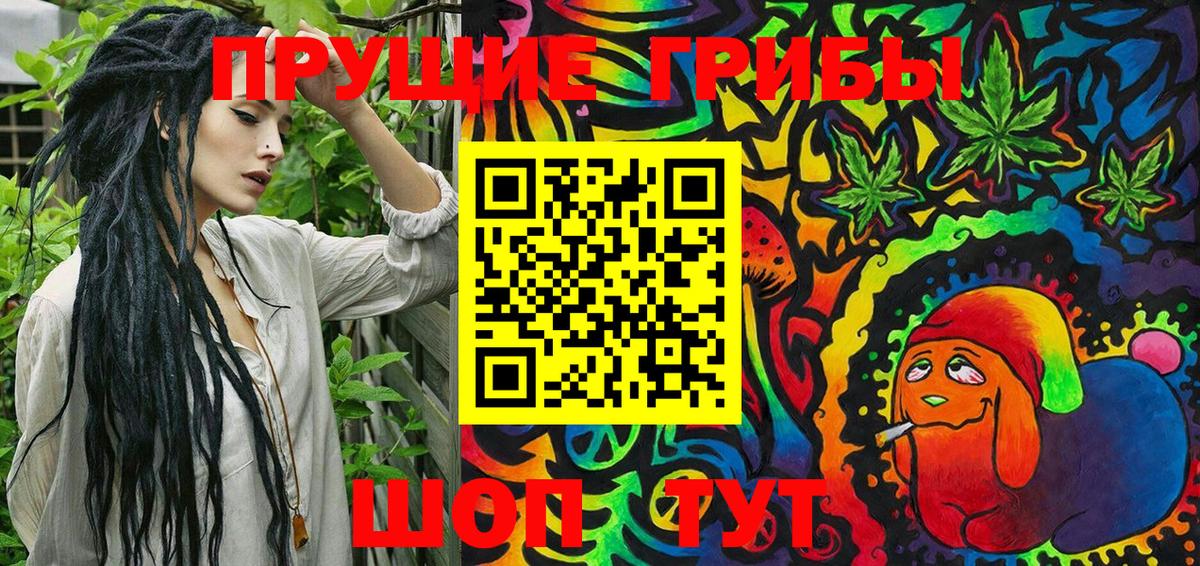 Псилоцибиновые грибы Psilocybine cubensis Нерюнгри