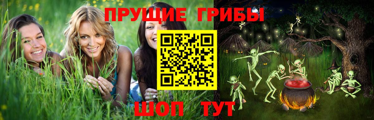 Галлюциногенные грибы Psilocybine cubensis Нерюнгри